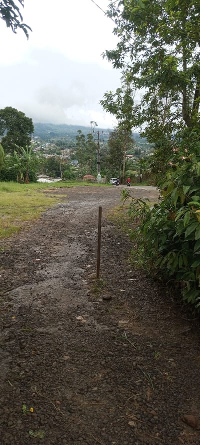 The image captures an outdoor scene in Mayawso, Sierra Leone, featuring a blend of natural landscape and human settlement under an overcast sky.
In the foreground, a rough, unpaved path made of dark gravel and small stones dominates the view. The path is damp and muddy in places, suggesting recent rain or generally humid conditions. A solitary, slender, dark-colored post stands vertically in the middle of this path. Patches of green grass and sparse weeds grow through the gravel. To the left, a grassy area transitions into dense green foliage and trees, including a prominent banana tree. The right side of the foreground is framed by the lush leaves of a large tree, with a few pinkish flowers visible among the greenery.
Further back, in the mid-ground, a paved road can be seen. A tall electrical pole structure with multiple cross-arms and wires stands by the road. A white car is parked on the roadside, and next to it, a person wearing a red top is seated on a scooter, appearing to be in motion or preparing to depart.
The background reveals a sprawling residential area nestled on the slopes of distant hills or mountains. These hills are verdant with trees and partially obscured by low-hanging clouds, indicating an elevated or mountainous setting. The buildings appear scattered among the dense vegetation. The overall atmosphere suggests a cloudy, damp daytime scene in a tropical, semi-urban or rural environment. No discernible text is visible in the image.