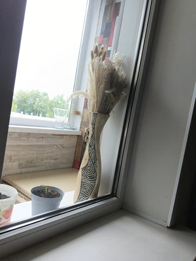 The image shows a windowsill in what appears to be a residential building in Novyy, Russia. On the windowsill, there is a decorative vase with dried pampas grass, two glass vases, and two potted plants. One potted plant is in a light gray pot and contains a small seedling. The other pot, to the left, is a white plastic container with some orange design. Outside the window, trees and a cloudy sky are visible. The room has wooden paneling on the wall behind the windowsill, and a dark curtain on the left side.