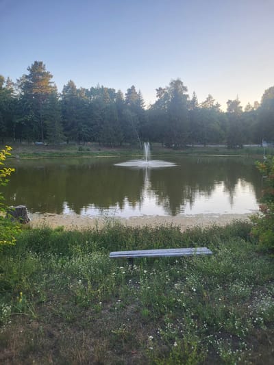 This is a ground-level, medium shot photograph of a tranquil park scene at the Khotsky Reservoir in Khotsky, Ukraine. The image is dominated by a wide, calm body of water with a small fountain actively spraying water in the center. The water reflects the surrounding trees and the pale, cloudless sky. Along the edge of the reservoir, a thin strip of sandy earth is visible, partially covered by aquatic vegetation. The foreground of the image features a dense growth of green grass and wildflowers, with a weathered wooden park bench positioned horizontally across the lower portion of the frame. Behind the bench, the vegetation continues, with a tree stump and some leafy branches on the left side of the frame. A dense line of various trees, including evergreens and deciduous varieties, forms a natural barrier along the far bank of the reservoir and extends into the background, creating a sense of depth and enclosure. The overall atmosphere is serene and natural, suggesting a public park or recreational area.