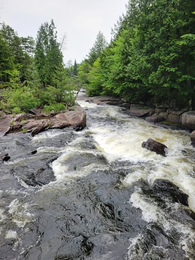 This is a high-angle, full shot of a rocky river flowing through a forest. The water is turbulent with white foam around dark grey rocks. Lush green trees line both sides of the river, with a grey sky overhead. In the foreground, dark grey rocks are visible just below the water's surface, with swirling patterns in the water. The river flows from the background towards the viewer. The scene is devoid of any people or man-made structures. The location is the Jacques-Cartier National Park, Saint-Alban, Canada.