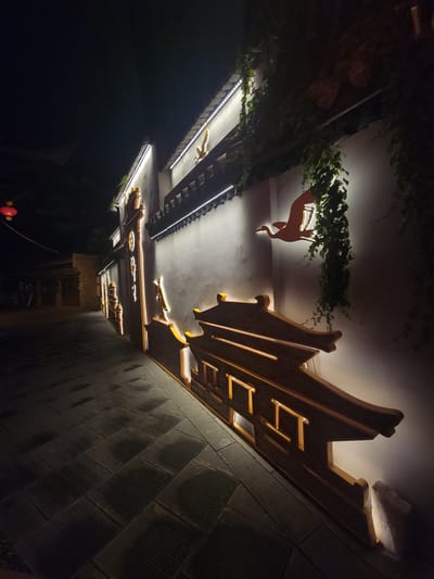 An outdoor nighttime scene in the Wuhou District of China shows a narrow pedestrian walkway next to a white stucco wall. The wall is adorned with decorative lighting and architectural elements that mimic traditional Chinese rooflines. A large, stylized silhouette of a bird in flight is mounted on the upper portion of the wall, illuminated by a backlight. Green vines cascade down from the top of the wall, partially obscuring the bird and the upper decorative lights. The walkway is paved with dark, rectangular stones, and a red lantern is visible hanging from a wire on the left side of the image, suggesting a traditional or festive atmosphere. The overall scene is illuminated by artificial lighting, creating a dramatic contrast between the brightly lit architectural features and the surrounding darkness.
