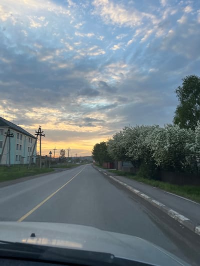 A road extends into the distance in Zykovo, Russia. The sky is filled with clouds, reflecting the light of a sunset. A row of trees lines the road. Telephone poles and buildings are visible in the background. The view is from inside a vehicle, with part of the vehicle visible in the foreground.