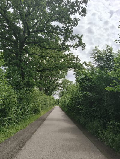 This image depicts a paved pathway or road flanked by dense, green foliage on both sides, leading into the distance under a cloudy sky. The pathway appears to be in a natural or park-like setting, possibly a walking or cycling trail. Large trees with extensive canopies are visible on the left side of the pathway, their branches reaching overhead. The foliage on both sides is lush and green, forming a natural tunnel effect. The sky is overcast with visible clouds. There are no people or animals visible in the image. The scene suggests a serene, outdoor environment. This pathway is located in the vicinity of Beckersredder in Henstedt-Ulzburg, Germany.
