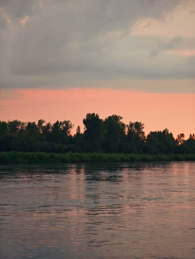 This image depicts a serene river scene at dusk, likely in Kazachinskoe, Russia, given the context. The sky is a gradient of soft grey clouds in the upper portion transitioning to a warm, peachy-pink hue near the horizon, indicative of sunset. Below the sky, a dense line of dark green trees forms a silhouette against the vibrant sky, with lush green vegetation lining the riverbank in the foreground. The river itself occupies the bottom half of the image, its surface rippled by gentle currents, reflecting the colors of the sky and the surrounding foliage. The overall atmosphere is tranquil and natural. There are no people or man-made structures visible in the frame.