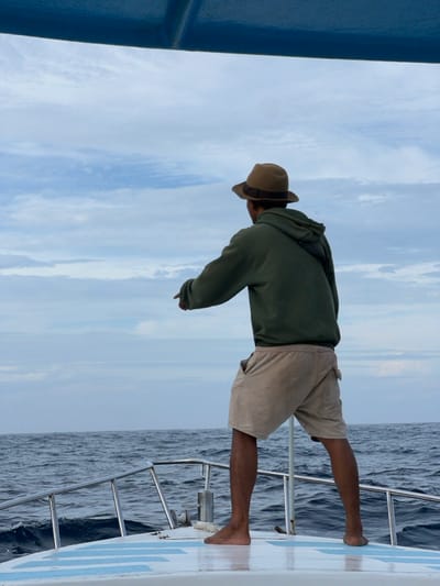 A person in an olive green hoodie, khaki shorts, and a tan fedora stands on a boat. The person leans over the side pointing down towards the water. Part of the boat's blue structure is visible on the left, and the ocean is on the right. The sky is light blue with wispy white clouds. Metal railings run along the edge of the boat.