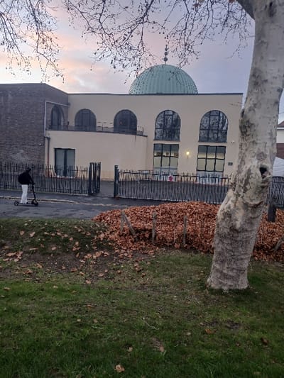 A landscape-oriented image, captured sideways, depicts a building resembling a mosque, set against a dawn or dusk sky. The building features a cream-colored facade with several arched windows, some reflecting interior light. A prominent green-teal dome adorns the roof on the left side of the building.
In the foreground, a large, textured tree trunk stretches diagonally across the upper right portion of the frame. Bare tree branches, indicative of autumn or winter, extend from the left side. The ground beneath is a mix of vibrant green grass and numerous fallen brown leaves, suggesting the season. A black metal fence runs along the front of the building, separating it from a paved path. Near the bottom center, a dark object, possibly a scooter or stroller, rests on the path.
The sky transitions from a soft pale blue to warm pink and orange hues on the horizon, characteristic of sunrise or sunset. The overall lighting is dim and diffused. A small, round red sign with white text or a symbol is visible on the fence or wall near the building's entrance, but its details are unclear. The scene is devoid of human activity, presenting a tranquil view of the religious structure and its surrounding natural elements. The location is Béthune, France.