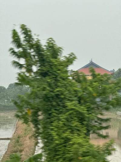 The image captures a motion-blurred view of a rural landscape in Tân Thanh, Vietnam, under an overcast sky. In the foreground, lush green foliage dominates, also affected by motion blur, obscuring much of the scene. Behind the trees, a traditional Vietnamese building with a red, tiered roof is visible, its yellow walls partially obscured. To the left of the building, agricultural fields, possibly rice paddies, are evident, with some areas appearing flooded and others dry earth with vegetation. A narrow strip of brown earth runs between the foreground trees and the fields. The overall impression is one of movement through a verdant and cultivated rural area.