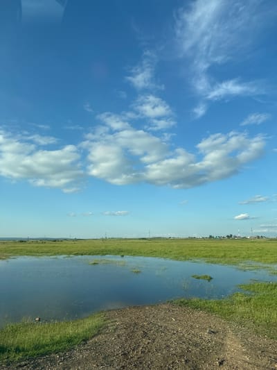 The image depicts a rural landscape under a partly cloudy blue sky. In the foreground, a body of water reflects the sky, bordered by green grass and a dirt path. The middle ground consists of a vast, flat expanse of green grass, dotted with small patches of water. In the distance, a small settlement with houses and a tall structure, possibly a communication tower, is visible on the horizon. The overall impression is one of a serene, open, and natural environment.