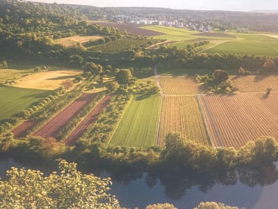 This aerial photograph captures a scenic landscape on the outskirts of Ludwigsburg, Germany. A river flows through the foreground, reflecting the surrounding greenery. Adjacent to the river are terraced fields, some appearing freshly tilled and brown, while others are carpeted with lush green crops or have rows of plants indicative of vineyards. Trees and wooded areas punctuate the agricultural landscape, forming a natural boundary between the fields and the more urbanized area visible in the background. In the distance, a settlement of white-roofed buildings, characteristic of a German town, is nestled among rolling hills. The scene is bathed in the warm light of what appears to be late afternoon or early morning, casting long shadows and highlighting the textures of the land. The overall impression is one of agricultural harmony and natural beauty integrated with human settlement.