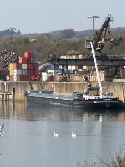 The image depicts an industrial port scene along a waterway in Mertert, Luxembourg, under a clear daylight sky.

In the foreground, a calm body of water occupies the lower half of the frame. Two white swans swim from left to right across the water. Sparse, dormant vegetation is visible along the very bottom edges.

In the midground, a dark-hulled cargo barge, identified by the name "SUNISHA" on its stern, is moored alongside a concrete quay wall on the right side of the frame. The barge features a light grey deck and cargo hold, with a beige and white superstructure towards the stern. A white crane arm extends diagonally upwards from the barge's superstructure. A small Dutch flag is affixed to the quay wall near a set of steps.

The background reveals the port's infrastructure. Directly behind the quay wall, a tall stack of multi-colored shipping containers (predominantly red, white, and dark grey) is visible on the left. To the far left, a large pile of what appears to be scrap metal or debris is accumulated. A prominent industrial crane, featuring a yellow operator cabin and a large clamshell grab bucket, is positioned on the quay, suggesting bulk material handling. The bucket is open and suspended. Above this, a gantry structure bearing the text "HILGERS" and "15t" is visible. Two orange industrial vehicles are situated on the quay behind the containers. Several tall floodlight poles, each topped with a cluster of lamps, rise above the port structures. Beyond the industrial area, a rolling landscape of deciduous trees and vegetation extends to the horizon under a pale blue sky. No individuals are clearly visible or actively engaged in work.