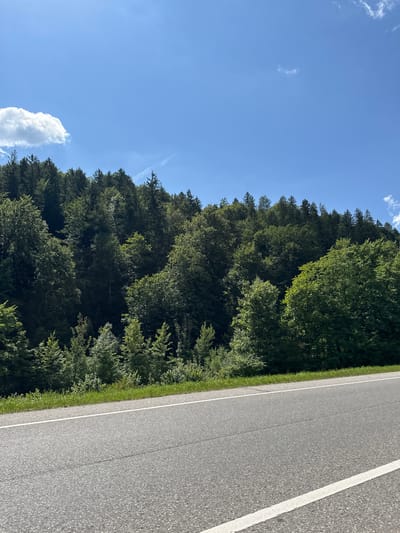The image depicts a paved road running alongside a dense forest. The road has a white line marking its edge and another white line dividing lanes. Sunlight illuminates the scene, suggesting it is daytime. The sky is a clear blue with a few wispy clouds. The forest is a vibrant green, indicating lush vegetation, likely deciduous trees mixed with some evergreens. A narrow strip of grass separates the road from the trees. The perspective is from a low angle, looking forward along the road and into the forest. The image is a landscape-oriented photograph. No people, objects, or text are visible. The location context is Berchtesgaden, Germany. The overall mood is serene and natural.