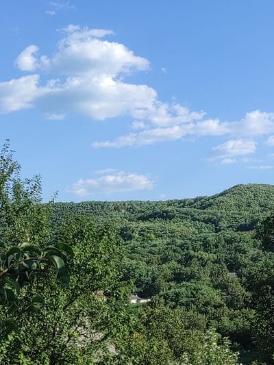 The image depicts a lush, green hillside covered in dense foliage under a bright blue sky with scattered white clouds. In the foreground, there are trees with vibrant green leaves. A few buildings are partially visible through the trees on the lower slope of the hill. The scene appears to be a natural landscape within or near the city of Sadova, Moldova.