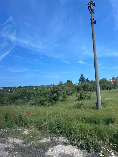 The vertically oriented image presents a serene outdoor landscape under a brilliant blue sky, likely taken from a vehicle. A sturdy concrete utility pole with dark insulators and power lines extends from the left side of the frame into the upper center, with several thin electrical wires stretching across the clear sky. The sky itself is a vivid azure, dotted with sparse, wispy white clouds.
The lower portion of the image reveals a lush green environment. Tall grasses dominate the foreground and midground, interspersed with patches of wildflowers, including several striking red poppies and numerous small white blossoms. Behind these fields, a dense treeline forms the horizon, featuring various types of trees and shrubs, with a distinct conical evergreen tree standing out. In the far distance, above the treeline, small buildings with red roofs are visible, hinting at a village or settlement, consistent with the location of Kumanovo, Bulgaria. A light-colored, possibly gravel path or dirt road runs along the right edge of the frame. A faint reflection, possibly of a car's dashboard or interior, is noticeable in the bottom left corner. The scene is illuminated by bright daylight, suggesting a sunny morning or afternoon. No specific activities or visible text are present.