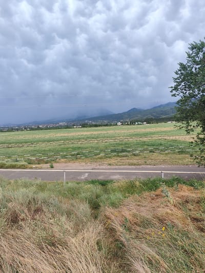 The image depicts a rural landscape under a cloudy, potentially stormy sky. The foreground is dominated by dry, tall grasses and some green vegetation, with a paved road and a simple metal fence visible. Beyond the road, a vast green field stretches out, marked by a long, low fence with white posts. In the middle ground, a town or village is nestled against a backdrop of rolling, mist-shrouded mountains. The sky is filled with heavy, dark grey clouds, suggesting an impending rain shower or overcast weather. The overall mood is somber and natural, with no people or explicit activities shown. The location is identified as Dolan, Kazakhstan. The time of day is not clearly discernible due to the heavy cloud cover, but the general lighting suggests it is daytime.