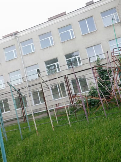 The image shows the exterior of a multi-story building, likely an educational institution, with numerous windows. The building is constructed with light-colored masonry. In the foreground, a green grassy area is visible, interspersed with small purple flowers. A metal fence, with some areas appearing rusty and painted in muted purples and yellows, runs across the lower portion of the image. Behind the fence, there is a section of what appears to be an outdoor sports or play structure, characterized by metal bars. The sky is overcast and bright. The overall impression is of an outdoor area adjacent to a school building. This scene is located in the city of Vyhoda, Ukraine.