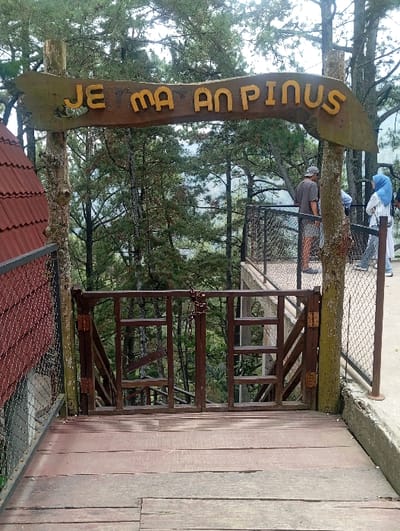 The image displays an elevated outdoor observation platform identified by a prominent wooden sign archway bearing the yellow inscription "JE MA AN PINUS." This structure is situated in Kajar, Indonesia, overlooking a dense pine forest. In the foreground, a weathered wooden plank walkway leads to a closed, dark brown wooden double gate, secured with a metal chain and padlock. To the immediate left, a portion of a building with a red-tiled roof and a wire mesh fence is visible. To the right, the wooden platform transitions into a concrete path, also secured by a wire mesh fence. Beyond the gate and to the right, two individuals are present on a lower observation level: one person in a grey t-shirt, dark shorts, and a cap, seen from behind; and another person wearing a light blue hijab and light-colored clothing. The background is dominated by numerous tall, slender pine trees, indicating a forested, mountainous, or hilly environment under an overcast sky.