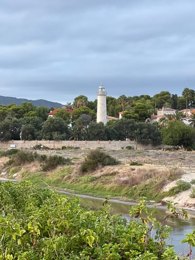An exterior scene depicts the Far de Sant Cristòfol (Sant Cristòfol Lighthouse) in Vilanova I La Geltrú, Spain, under an overcast sky. The lighthouse, a tall, slender, pale stone cylindrical structure with a visible lantern room, stands centrally in the mid-ground, surrounded by dense green trees, including pines and palm trees. Partially obscured by the foliage, residential buildings with tiled roofs are visible around the lighthouse. Below this elevated area, a light-colored stone wall with patterned brickwork spans horizontally. Beyond the wall, a gently sloping terrain features dry, sparse vegetation, light-colored soil, and a discernible dirt path marked by low wooden stakes and rope, suggesting a coastal trail. A small white sign on a pole is visible near the left end of the wall. In the immediate foreground, a narrow body of water, appearing as a canal or stream, flows horizontally, reflecting the grey sky. Its banks consist of sand and sparse vegetation on the right, and earthen slopes on the left. The bottom third of the image is dominated by lush, dense green leafy vegetation, partially obscuring the water. No individuals are visible in the scene.