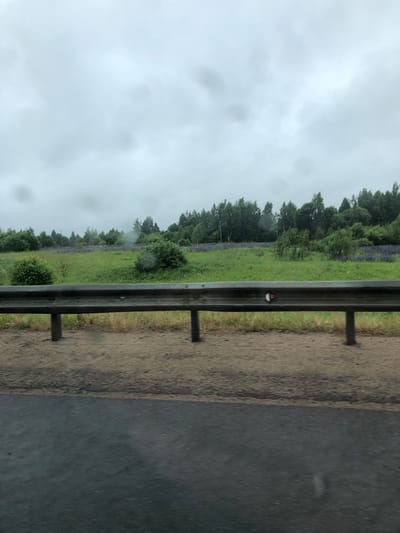 The image shows a roadside view of a landscape under a cloudy sky. In the foreground, there is a metal guardrail with vertical supports, separating the road from a grassy area. Beyond the guardrail, a field of green grass is visible, interspersed with patches of purple flowers. A line of trees forms the horizon, with a dense forest to the right and sparser trees and bushes to the left. The sky is overcast with gray clouds, suggesting a diffused light condition. The overall scene depicts a rural or semi-rural environment, possibly a roadside in a natural setting. The location in the city of Nadezhda, Russia is not discernible from the image itself.