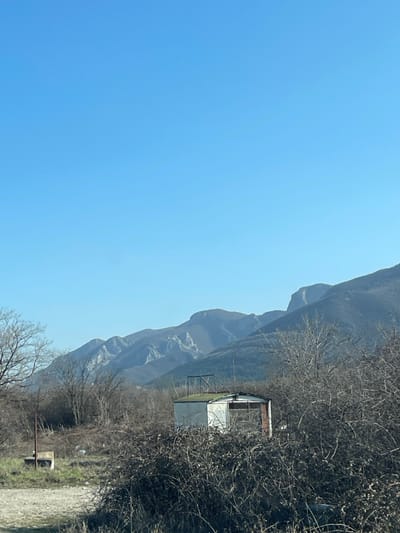 The image depicts a rural landscape in Beli Izvor, Bulgaria, under a clear, bright blue sky. Dominating the background are dark, rugged mountains exhibiting several prominent peaks and lighter gray rock outcrops. In the mid-ground, a small, rectangular, light-colored building, possibly a shed or utility structure, is centrally positioned. This building has a flat, moss-covered roof with an exposed metal frame or antenna structure. Its side facing the viewer is partially obscured by dense, leafless, thorny scrub and shows what appears to be a window or opening. To the left of the building, a weathered concrete block or foundation is visible on a dirt or gravel patch. The foreground and mid-ground are characterized by dry, sparse, leafless deciduous trees and abundant tangled, dark-brown thorny bushes, suggesting a dormant winter or early spring season. No individuals or animals are present, and no actions or interactions are depicted.