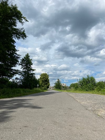 This is a ground-level, vertically oriented photo showing a grey asphalt path running along the right side of the frame. The path is bordered by a strip of green grass and then lush trees. The trees are a mix of dark green evergreens and lighter green deciduous trees, some of which have a feathery appearance. In the background, beyond the trees, there are glimpses of some buildings and more trees.
The sky takes up a significant portion of the left side of the image and is filled with dramatic, grey, and white clouds. The clouds appear to be moving and are textured, suggesting a dynamic weather system. Patches of blue sky are visible between the clouds. The lighting suggests it is daytime, possibly late afternoon or early evening, given the shadows cast on the path. The overall mood is somewhat overcast but not entirely gloomy, with the bright blue sky peeking through hinting at fair weather. There are no people or animals visible in the image. No text is visible. The scene appears to be in a rural or semi-rural setting, possibly a road or path in a village or countryside area in Belarus.