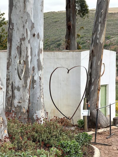 The image depicts a scene in Theewaterskloof Nu, South Africa. In the foreground are two eucalyptus trees with peeling bark. A metal heart-shaped structure is suspended between the trees. To the right, there's a lush patch of succulents and other greenery. Behind the trees and heart, a white, rectangular building is visible, with a light green door and a "Bike Wash" sign above a water tap and hose. In the background, there is a hillside covered in vegetation.