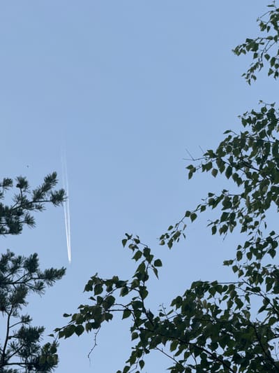 The image captures a serene outdoor scene looking upwards towards a clear, pale blue sky, framed by tree foliage. In the upper half of the frame, branches laden with green, possibly birch, leaves extend from the top and right sides, creating a natural border. Below, in the lower center and right, darker, spiky branches of coniferous trees, likely pines, are visible. The interplay of these two types of trees suggests a diverse natural environment.
Across the expanse of the sky, a faint, white contrail left by an airplane stretches horizontally from the left towards the middle-right, indicating air travel high above. The airplane itself is not visible. The sky is bright and unclouded, save for the contrail, suggesting fair weather. The even lighting indicates it is daytime, possibly late morning or early afternoon. The overall impression is one of tranquility and openness. There is no visible text in the image. Given the location context of Zerendi, Kazakhstan, the scene likely depicts a natural landscape within that region, characterized by its combination of deciduous and coniferous forests.
