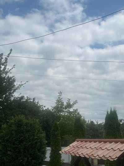 The image depicts an outdoor scene on a cloudy day, likely in Nyzhnii Verbizh, Ukraine. The sky is filled with overcast clouds, with patches of blue visible. Several power lines stretch across the frame. In the foreground, there is a portion of a roof with terracotta-colored tiles, possibly part of a gazebo or small building. Behind this structure, various types of evergreen trees, including a large, rounded shrub on the left and two tall, conical trees on the right, are prominent. In the mid-ground, denser foliage from deciduous trees forms a backdrop. A white fence is partially visible behind the evergreen trees. No people or animals are visible in the image.