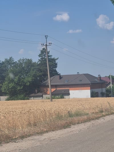 The image depicts a rural landscape near Pidhaitsi, Ukraine, under a clear blue sky with scattered white clouds. In the foreground, a dirt road runs diagonally from the bottom right corner. Adjacent to the road, a dense field of dry, golden wheat stretches across the mid-ground. Beyond the wheat field, a low concrete fence separates it from a residential area. A modern house with a dark, multi-pitched roof, featuring several dormer windows and chimneys, is partially visible. The house is constructed with a combination of orange brick and white plaster. To the left of the house, a cluster of lush green trees, including tall pines, forms a dense backdrop. A utility pole with electrical wires stands prominently in the mid-ground, positioned between the wheat field and the house. The overall scene suggests a typical summer day in a rural Ukrainian setting.