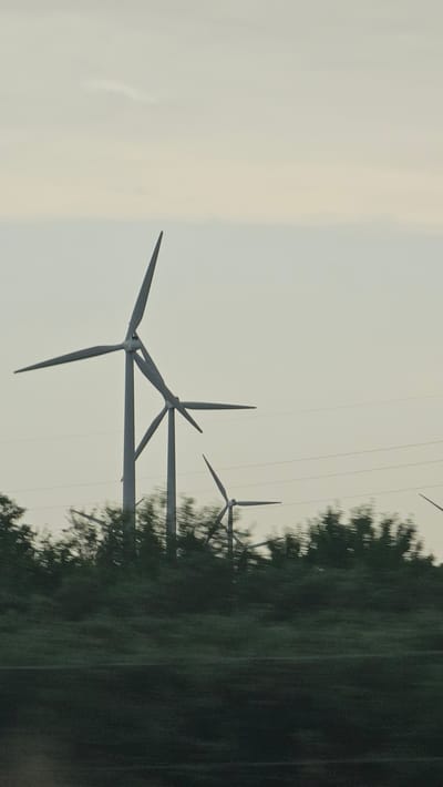 The image depicts a landscape featuring several wind turbines silhouetted against a pale, overcast sky. The turbines are positioned in the distance, with their tall structures and rotating blades clearly visible. In the foreground, a dense line of blurred green foliage suggests trees or bushes, indicating movement or motion within the scene, possibly from the perspective of a moving vehicle. Power lines are also visible running horizontally in the mid-ground. The overall impression is one of an industrial landscape integrated with nature. The location is identified as La Muela, Spain.