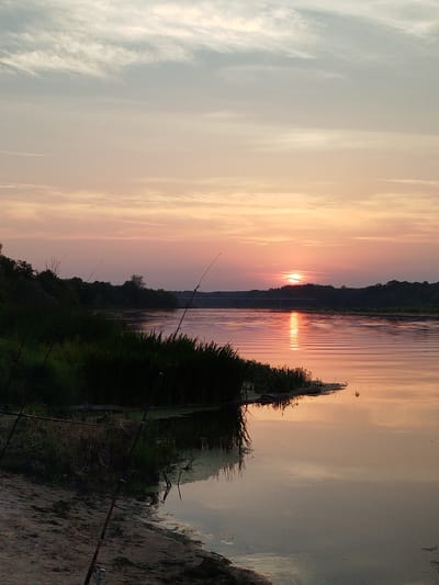 The image depicts a tranquil sunset scene on a body of water, likely a river, on the outskirts of Topolina, Poland. The sky is a gradient of soft pinks and oranges near the horizon, transitioning to pale blue and white clouds higher up. The sun, partially obscured by trees on the distant bank, casts a shimmering reflection on the water's surface. Several fishing rods are propped up along the sandy bank, suggesting a fishing outing. Tall grasses and reeds line the water's edge, with darker foliage forming a dense treeline in the distance. The water itself is calm, with gentle ripples reflecting the colors of the sunset. The overall atmosphere is serene and natural.