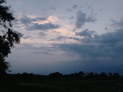 This is a wide shot of a rural landscape in Mykhnivtsi, Ukraine, taken at dusk. The sky is filled with dramatic, dark clouds, some of which are tinged with pink and orange from the setting sun. In the foreground, the silhouette of a leafy tree branches out from the left side of the frame, partially obscuring the view of the scene below.
The land appears to be agricultural, with dark fields stretching across the middle ground. A line of trees forms a dark horizon, broken by a few buildings and utility poles. One house is visible, with a light on inside, suggesting it is inhabited. The overall atmosphere is subdued and peaceful, with the fading light and silhouetted landscape creating a sense of calm. The weather appears to be changing, with the heavy clouds hinting at potential rain. The time of day is clearly evening, as indicated by the twilight sky and the dim illumination of the landscape. There is no visible text in the image.