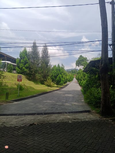This image depicts a paved pathway leading through a verdant, slightly hilly landscape. The pathway, constructed of dark gray interlocking bricks, curves gently upwards and to the right, lined on both sides by lush green trees and foliage. On the left, a manicured grassy slope ascends, featuring a white bus parked at the top, partially obscured by trees. A red and white sign with a car symbol crossed out is visible on the left side of the pathway, indicating a prohibition for vehicles. The sky above is overcast with scattered white clouds. A tall, thick tree trunk stands prominently in the foreground on the right side of the image. The overall scene suggests a well-maintained park or resort area. The location is identified as Bandar Baru, Indonesia.