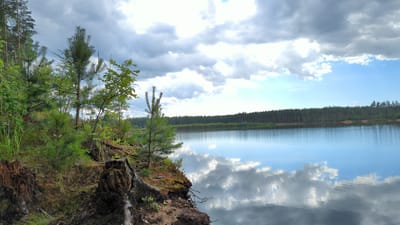 A wide, horizontal shot captures a serene natural landscape at the edge of a body of water, likely a lake or reservoir, in Severnaya Samarka, Russia. The foreground features a rugged, overgrown bank with exposed tree roots and decaying wood. Lush green foliage, including small evergreen saplings and taller deciduous plants, grows densely on the bank.

The middle ground is dominated by the calm, reflective surface of the water. The water mirrors the sky and the distant treeline with striking clarity. A dense, dark green forest stretches along the opposite bank, forming a continuous line of trees that meets the horizon.

The sky above is a dramatic mix of bright blue patches and expansive, heavy grey clouds. The clouds are intricately textured, with areas of bright white where sunlight breaks through and darker, more ominous sections. The overall impression is one of natural beauty and tranquility, with a hint of the wildness suggested by the untamed foreground. There are no people or animals visible in the scene. The lighting suggests it is daytime, possibly late afternoon, given the quality of light and the cloud cover.