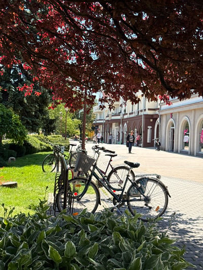 The image depicts a street scene in Siófok, Hungary. Multiple bicycles are parked along a sidewalk paved with interlocking gray stone. To the right of the bikes are large, variegated hosta plants. To the left, a tree with reddish-brown leaves extends into the frame. In the background, a building with arched windows and beige exterior can be seen. A woman wearing a striped shirt and dark pants is standing on the sidewalk in front of the building. Other pedestrians are seen further down the sidewalk. Beyond the bicycles on the left is a strip of green grass with various trees and shrubs. The scene is bathed in sunlight, with shadows cast by the bicycles and plants.