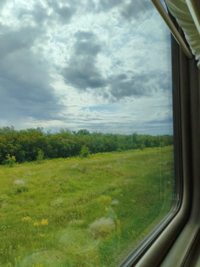 The image depicts a view through a train window of a lush green landscape. The foreground is a field of tall, vibrant green grass with scattered yellow wildflowers and fluffy white seed heads. In the midground, a dense line of trees forms a dark green barrier, with some lighter green foliage interspersed. Above the treeline, the sky is filled with dramatic, heavy grey clouds with patches of lighter, brighter sky peeking through. The right side of the image shows the dark brown interior frame of the train window and a portion of a light-colored curtain. The image appears to have been taken on a slightly overcast day, possibly in Buzuluk, Russia, given the context. There are no people visible in the image. The overall scene conveys a sense of movement and passing scenery from a train journey.