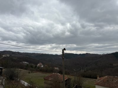 The image depicts a wide panoramic view of a rural, hilly landscape in Bukovo, Bulgaria, under a heavily overcast sky. The sky is uniformly gray with dense cloud cover. In the foreground, a prominent utility pole is positioned left of center, supporting two dark horizontal power lines that traverse the mid-ground. Bare deciduous trees and dormant shrubs with visible branches are present in the immediate foreground, alongside sections of a light-colored structure or wall on the lower left. To the far right in the foreground, a portion of a building with a reddish-brown tiled roof and a light-colored wall is visible. The mid-ground features dry, yellowish-green grassy patches interspersed with dark, leafless trees covering rolling hills. Several residential structures with light-colored facades and reddish-brown tiled roofs are scattered across the hill slopes. The background consists of successive layers of wooded hills, appearing dark due to the tree cover and the overcast conditions, receding into the distance. No individuals or active subjects are discernible within the frame.