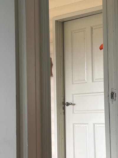 The image shows an interior view of a doorway. A white paneled door is partially open, revealing a glimpse of what is beyond. A silver doorknob is visible on the door. Above the door, a small portion of an orange object can be seen. The doorway is framed by a light-colored wall and doorjamb. The scene appears to be in a residential setting. There is no indication that this image is located in Blagoveshchenskoe, Russia.