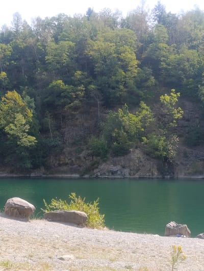 The image depicts a natural landscape with a body of water and a forested cliffside. The foreground is a gravelly and sandy embankment with several rocks scattered across it. Two larger rocks are prominently placed on the left side of the embankment, with dry grass and some sparse vegetation around them. To the right, a smaller rock is visible, and further to the right, a cluster of small white objects, possibly pebbles or debris, is situated near another rock. A slender yellow-flowered plant grows on the far right of the embankment.
The middle ground is dominated by a calm, greenish-blue body of water, likely a lake or quarry pond, with subtle ripples on its surface. The water's edge is clearly defined, meeting a steep, rocky cliff.
The background features a densely wooded cliff face, with a variety of trees and foliage. The trees are predominantly green, with some lighter-colored foliage, possibly indicating deciduous trees in leaf. The cliff itself is a mix of rocky outcrops and soil, with vegetation clinging to its slopes. The sky is visible at the very top of the image, appearing bright and overcast.
The scene is a tranquil, outdoor environment, characteristic of a natural reserve or a former quarry adapted for recreational use. It is implied that this location is the quarry in Výkleky, Czechia, based on the context provided. There are no people or discernible activities visible in the image.