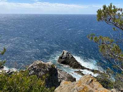 The image shows a rugged coastal landscape with a dense, deep blue ocean under a partly cloudy sky. In the foreground, there are rocky outcrops covered in sparse vegetation, including a pine tree branch extending from the right. In the middle ground, a prominent dark rock formation juts out of the water, with waves crashing against its base, creating white foam. The horizon line is visible, separating the sea from the sky. The scene evokes a sense of natural beauty and the power of the ocean. This view is typical of the coastal areas in Hyères, France, particularly on the Presqu'île de Giens, known for its dramatic cliffs and clear waters.