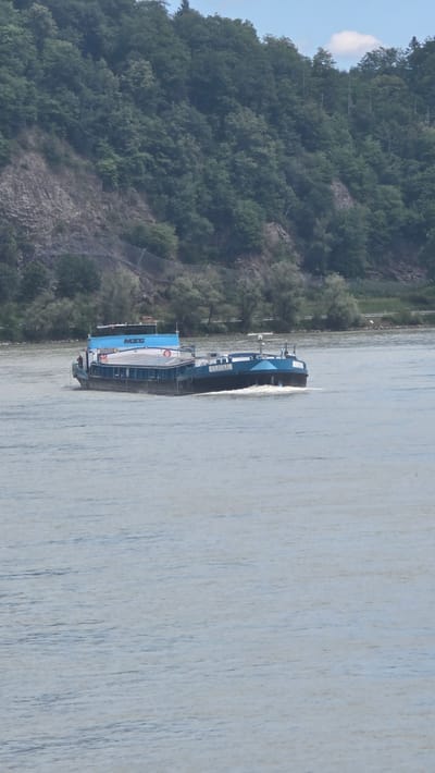 An inland navigation vessel, identified as "ULRIKE" and bearing the "MSG" logo on its forward superstructure, navigates a wide river, characteristic of waterways in Passau, Germany. The self-propelled cargo vessel, painted in shades of dark blue and light blue with white trim, moves from left to right, creating a distinct white wake at its stern. A single individual is visible on the foredeck, near the port side railing. The vessel features multiple antennas and radar equipment, along with two red-and-white life preservers visible on the deck.
The river water is a muted blue-gray with subtle surface ripples. On the left bank, a steep, densely forested hill rises, displaying dark green deciduous trees. Exposed rocky sections are visible on the lower slopes, partially covered by erosion control netting. The horizon above the hill reveals a clear blue sky with sparse, small white clouds.
The right bank, in the distant background behind the vessel, shows a more gently sloping shoreline with a line of light green trees and bushes at the water's edge. Behind these trees, a faint impression of a road or path is visible. Two small, indistinct human figures are present near the water's edge on the far right bank. The scene is illuminated by bright daylight.
