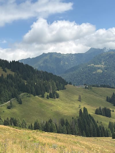 This is a landscape photograph taken in the vicinity of Raveo / Raviei, Italy. The image depicts a mountainous terrain covered with lush green vegetation and dense conifer forests. In the foreground, a field of dry grass with scattered wildflowers transitions into a steeply sloping grassy hillside. A winding dirt path is visible on the left side of the hillside. Further up the slope, a cluster of buildings, possibly a small settlement or farm, is situated amidst the greenery. The background is dominated by several layers of mountains, with the farthest peaks partially obscured by clouds. The sky is blue with scattered white cumulus clouds. The overall impression is of a serene and natural alpine environment.