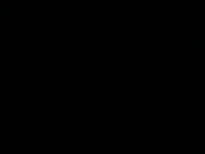 I cannot describe the image because it is completely black. There are no details visible.