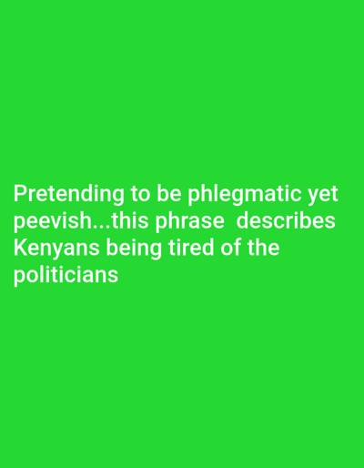 The scene depicts a digital graphic, specified to be associated with Chemuche ward, Kenya. It consists of white sans-serif text centered on a solid, bright green background. The text states: "Pretending to be phlegmatic yet peevish...this phrase describes Kenyans being tired of the politicians". No individuals, physical objects, or actions are visible within this graphic. The textual content serves as the primary subject, presented against the monochromatic green environment.