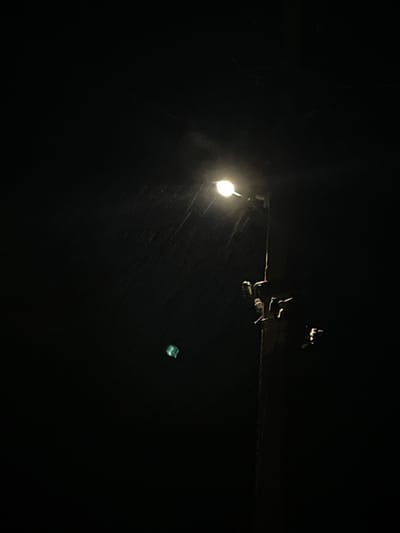 The image captures a dark night scene illuminated by a streetlamp. Visible on the streetlamp pole are several figures, seemingly human-like, attached to it, their forms indistinct in the dim light. They appear to be in a static, hanging position. To the left of the streetlamp, a small, brightly lit object, possibly a piece of litter, is suspended in the air, appearing green. The background is a deep black, indicative of the night sky, with faint streaks suggesting either rain or possibly motion blur. The scene is situated in Găvănoasa, Moldova, under a streetlamp.