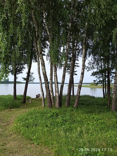 A row of birch trees with white bark and green leaves stands on the grassy shore of a calm lake. The trees are closely spaced, with their trunks forming a natural screen. In the background, the lake extends to a distant, tree-lined horizon under a pale sky. A small wooden boat is moored to a dock to the left of the birch trees, resting on the grass near the water's edge. The foreground is covered in lush green grass with some patches of dry earth. The timestamp "28.06.2026 17:10" is superimposed on the lower right corner of the image. The scene depicts a serene natural landscape, likely in the Мяжанскі сельскі Савет area of Belarus, during daylight hours. There are no people visible in the image.