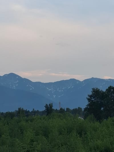 The image depicts a serene landscape dominated by a mountain range under a pale, cloudy sky. The mountains, a deep blue, are partially covered with snow patches, suggesting a cool climate or high altitude. In the foreground, a dense thicket of lush green trees stretches across the bottom of the frame, obscuring the ground. A tall, slender tower, likely a communication mast, is visible amidst the trees in the middle distance, to the left of center. Further back, a few houses with dark roofs are nestled amongst the trees, suggesting a small settlement. The overall atmosphere is peaceful and natural, with hints of human presence in the form of the tower and scattered buildings. This scene is consistent with the natural beauty and semi-rural settlements found in areas like Novosnezhnaya, Russia, known for its mountainous terrain and forested landscapes.