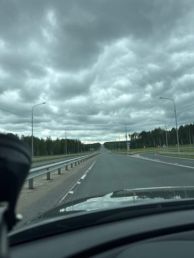 The image shows a view from a vehicle traveling on a highway near Pologovka, Russia, under a heavily overcast sky. The highway has multiple lanes and is bordered by a metal guardrail. On the left side of the road, there is a forest of birch and pine trees. Streetlights line the highway at regular intervals. Traffic signs are visible, indicating a curve in the road and lane guidance. In the distance, other vehicles can be seen. The reflection of the sky and trees is visible on the vehicle's hood. The scene appears to be a rural or suburban highway setting.