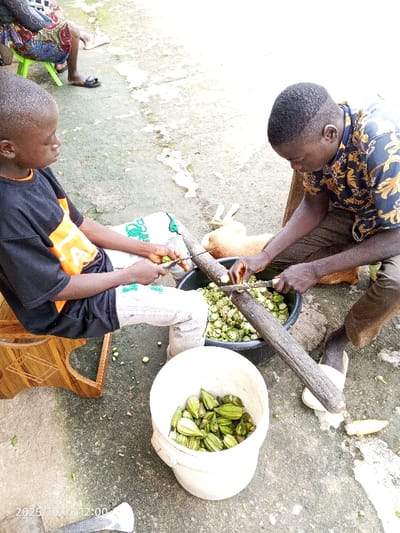 This image, captured in Kamantan, Nigeria, shows three individuals engaged in the manual preparation of okra outdoors on a concrete surface. In the foreground left, a young male, wearing a black t-shirt with orange accents and light-colored trousers, is seated on a wooden stool. He holds a knife in his right hand and an okra pod in his left, actively chopping it over a wooden log placed on his lap. To his right, an adult male, wearing a patterned short-sleeved shirt and dark trousers, is crouched. He is similarly equipped with a knife and okra, chopping the vegetable over a second wooden log. Chopped okra pieces are collected in a black plastic basin situated between these two individuals. A white plastic bucket containing whole green okra pods rests in the lower center foreground. Discarded okra trimmings are scattered on the concrete ground. In the upper left background, the lower body of a third individual is visible, seated on a small green plastic stool, wearing patterned fabric and black sandals. The scene is illuminated by natural light, and a timestamp "2023/10/12 12:00" is present in the lower left corner.