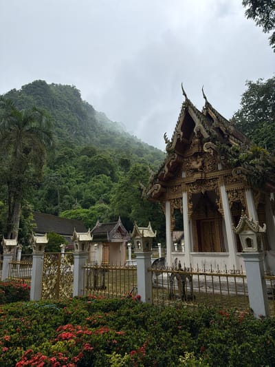 The image depicts a Buddhist temple complex located in Chiang Dao, Thailand, under an overcast sky. A prominent white temple building with extensive gold-colored decorative carvings on its facade and roof gables is positioned on the mid-right. Small plants and moss are visible on sections of the temple roof structure. The immediate foreground features a horizontal hedge densely covered with small red flowers. Behind this, a golden metal fence, detailed with spiked finials and white concrete posts topped with miniature shrine-like structures, delineates the temple grounds. An ornate golden gate is visible within the fence to the left. In the mid-ground, to the left of the primary temple, additional temple buildings with dark roofs are partially discernible. The background is dominated by a densely forested mountain range, exhibiting varied green tropical foliage. Mist partially obscures the upper sections of the mountains. Large palm trees and broadleaf trees are present throughout the mid-ground and background. The sky above is uniformly overcast. No human figures are depicted in the scene.