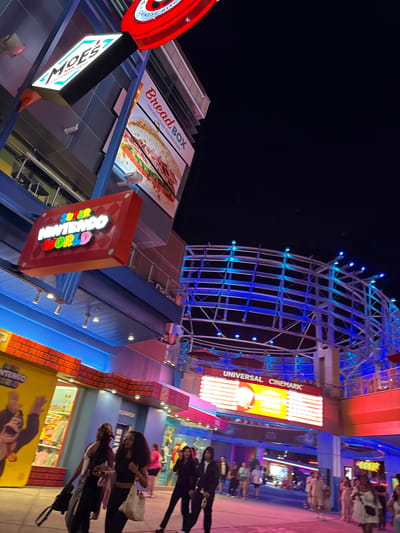 The photograph, taken at night, presents a view in Orlando, United States of America. A section of the Universal Cinemark building with lit sign is present, as is what appears to be the skeleton of a ferris wheel. A sign for Bread Box and Moe's Southwest Grill are present. The foreground includes people walking. The background sky is black.